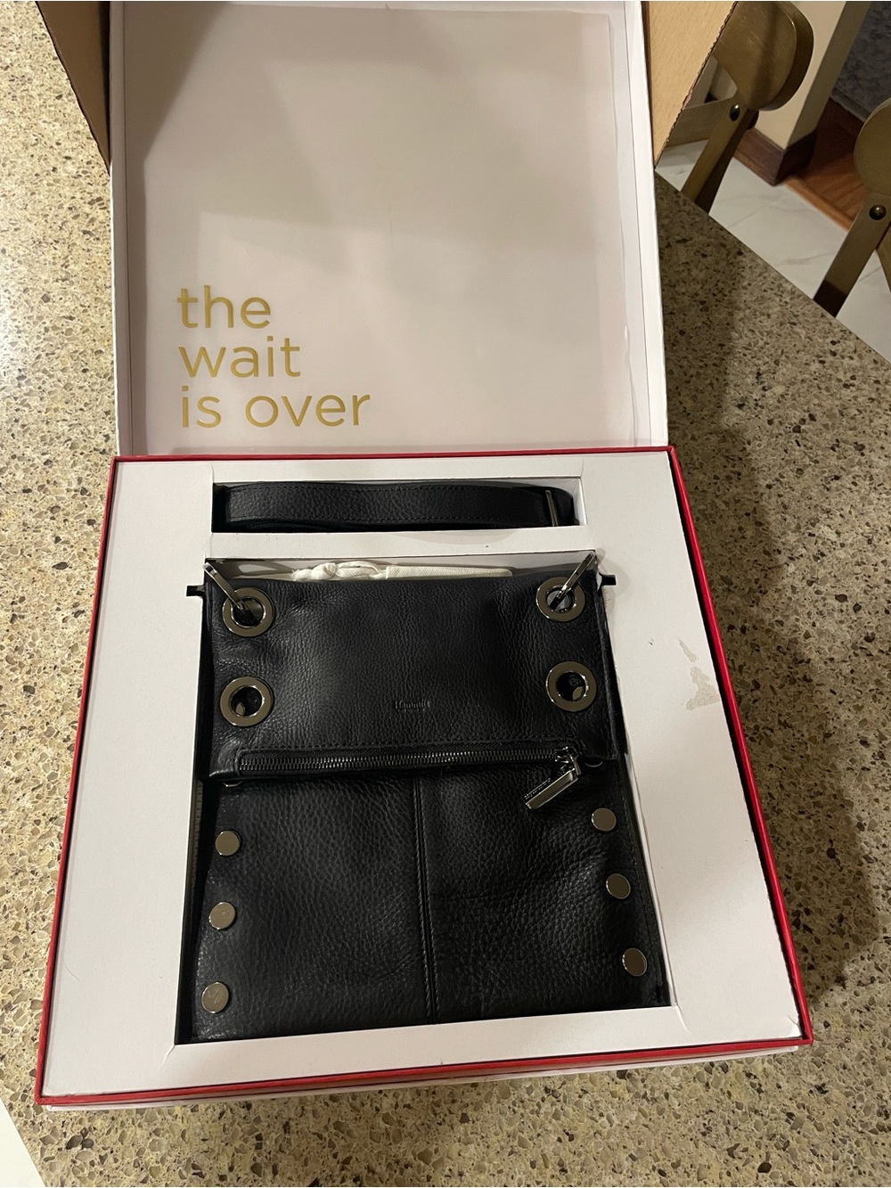 Hammitt Black Leather Crossbody with Metal Grommets